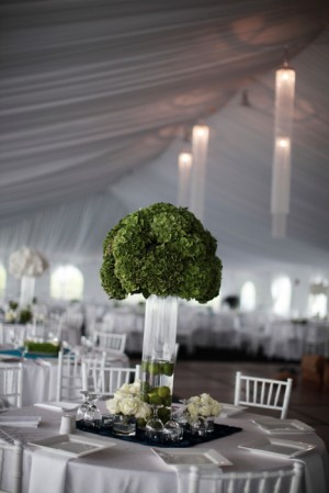 White and Green Tent Reception