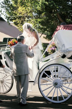 Bride-in-Carriage