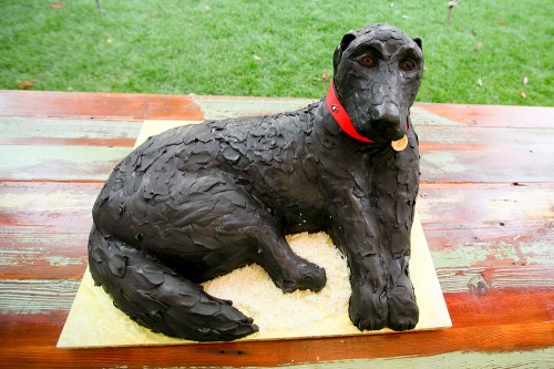 Dog-Grooms-Cake
