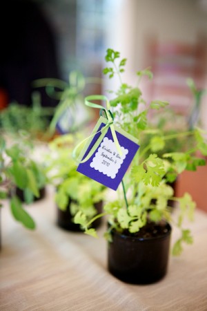 Potted-Herb-Centerpieces