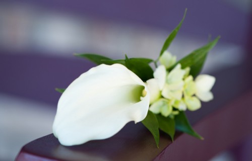 Simple-White-Boutonniere