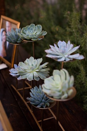 Copper-and-Succulent-Display