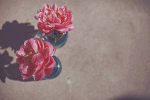 Pink-Flower-in-Blue-Bud-Vase
