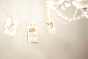 Seed-Packet-Garland-Wedding-Decor-Ideas
