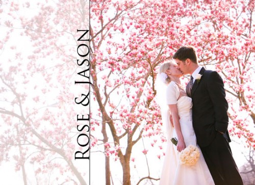 cherry-blossoms-wedding