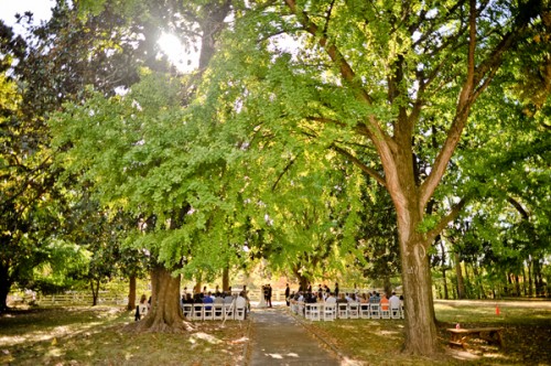 outdoor-ceremony-under-oak-trees