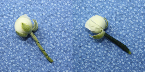 wire-a-flower-stem