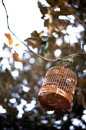 Hanging-Gold-Birdcage