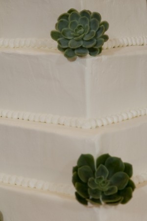 Succulent-Cake-Decor