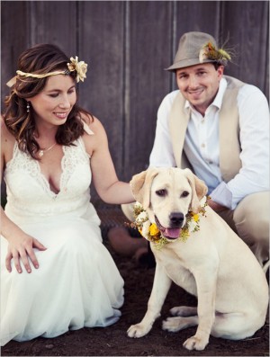 Wedding-Puppy-Flower-Collar