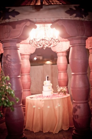 Cake-Display-Pavilion