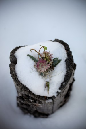 Moss-Astratia-and-Wool-Boutonniere
