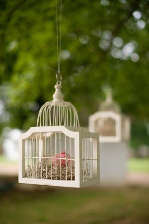 Hanging-Birdcages