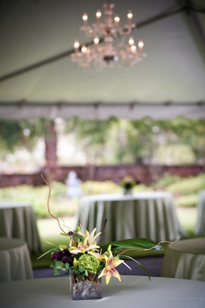 Tent-Wedding-Reception