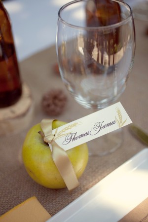Apple-Place-Cards