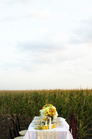 Texas-Cornfield-and-Yellow-Chevron-Wedding-Inspiration-by-Shalyn-Nelson-Photography-5