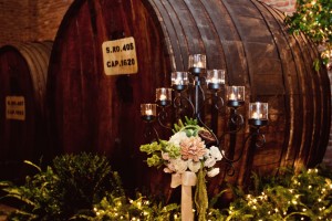 18-Wedding-Delaney-Vineyards-Rustic-Vintage