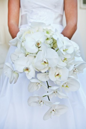 Cascading-White-Orchid-Bouquet
