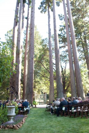 Redwood-Ceremony-Location