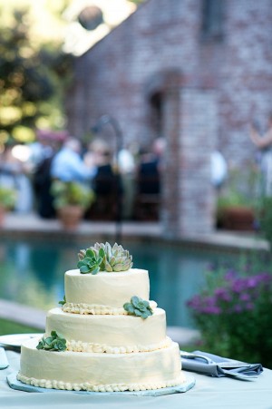 Succulent-Cake