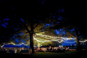 Cafe-String-Lights-Outdoor-Wedding-Reception
