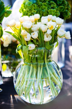 Butter-Yellow-Tulips