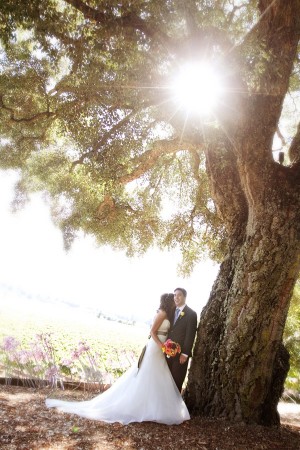Casual-Rustic-California-Winery-Wedding-by-Julie-Mikos-Photography-7
