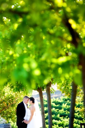 Elegant-Green-and-White-California-Winery-Wedding-by-Gillett-Photography-3