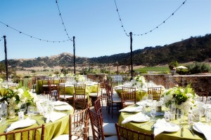 Natural-Lime-Green-Winery-Wedding-Reception