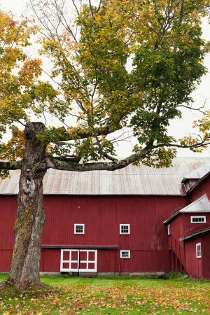 Vermont-Barn-Wedding-Deborah-Zoe-Photography-1