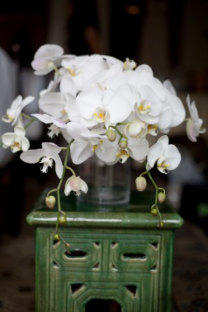 White-Moth-Orchid-Floral-Centerpiece