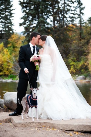 Italian-Greyhound-Wedding-Photo