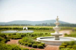Winery-Wedding-Fountain-Ceremony