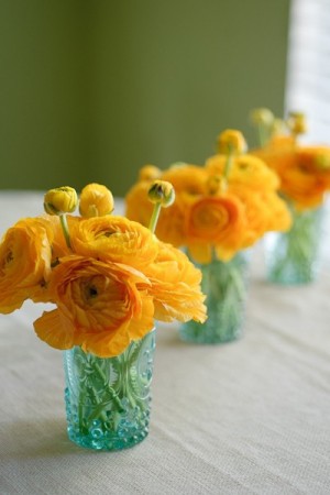 yellow-and-turqouise-flowers-ranunculus