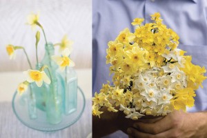 blue-and-yellow-wedding-flowers