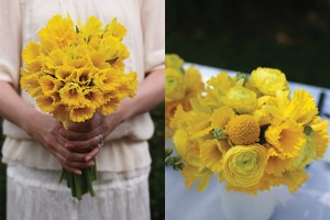 modern-yellow-daffodils