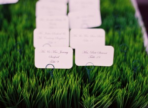 Grass-Escort-Card-Tray