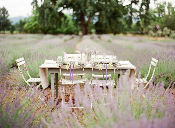 Wedding-in-a-Lavender-Field