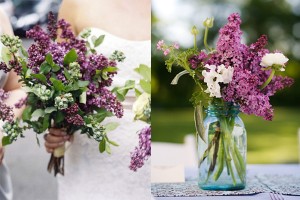 Purple-Lilac-Flowers