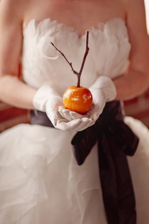 Snow-White-Inspired-Wedding-Shoot-by-SB-Childs-Photography-3