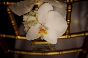 Orchid-Chair-Decor