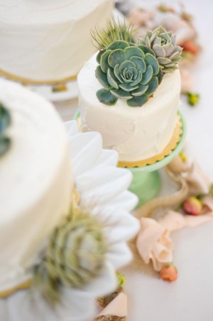 Succulent Cake Toppers