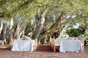 Magical Forest Wedding Reception