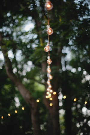 Wedding Reception Christmas Light Bulbs