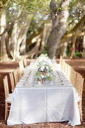 Wedding Reception in the Woods