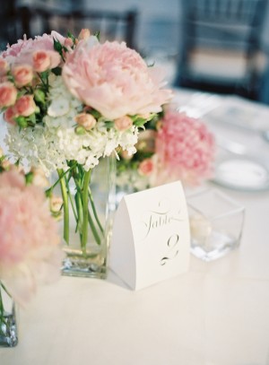 Classic White And Pink Wedding Clary Photo 3