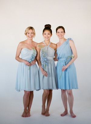 Cornflower Blue Bridesmaids Dresses Little Borrowed Dress 4