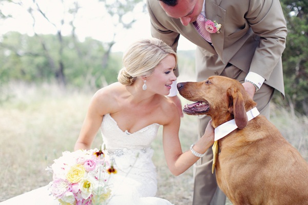 Dogs In Weddings 11