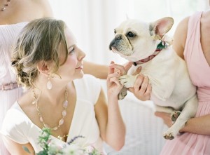 Dogs In Weddings 2