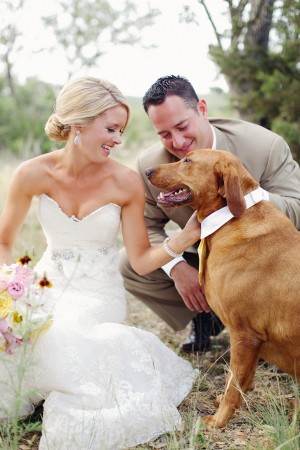 Dogs In Weddings 21